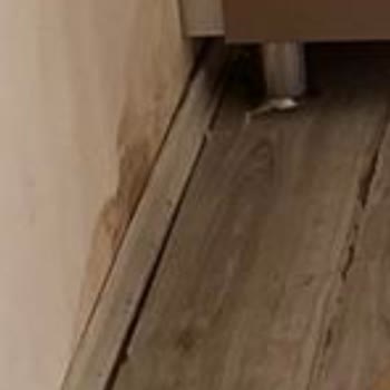 Türkiye Sigorta Bahane Uydurup Teminatta Yazmasına Rağmen Ödemiyor