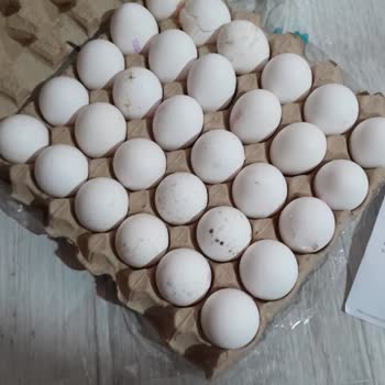 A101 Kapıda Teslim Yumurtalarda Büyük Hayal Kırıklığı