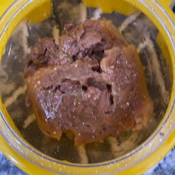 Purina Felix Wet Cat Food Contaminated