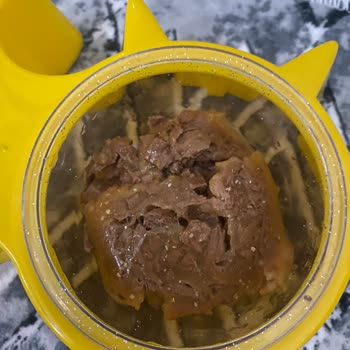 Purina Felix Wet Cat Food Contaminated