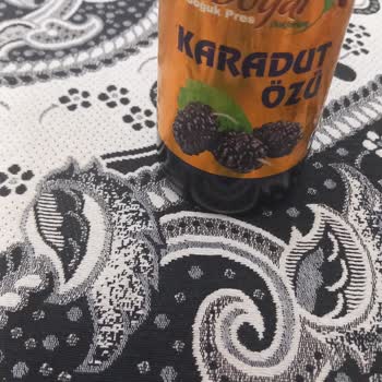 Doğal Doktorum Karadut Özü Ne Benzemiyor