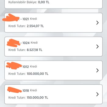 Ziraat Bankası Ek Numaralı Hesap Görünmüyor