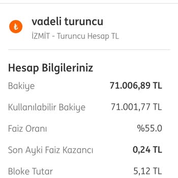 ING Banka Bloke Sorunu: 71.000 Lira Mağduriyeti