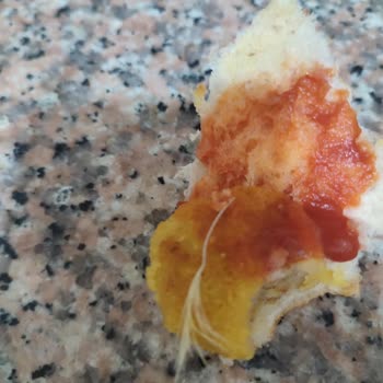 Şenpiliç Aldığımız Üründen Tüy Çıktı