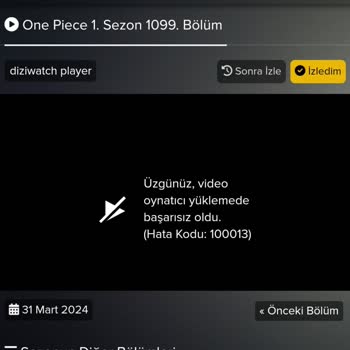 Diziwatch Hata Kodu 100013