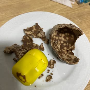 Ozmo Yumurta Kalite Sorunu