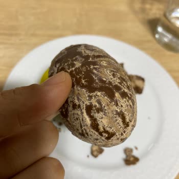 Ozmo Yumurta Kalite Sorunu