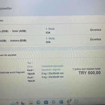 THY Evcil Hayvan Sıkıntısı