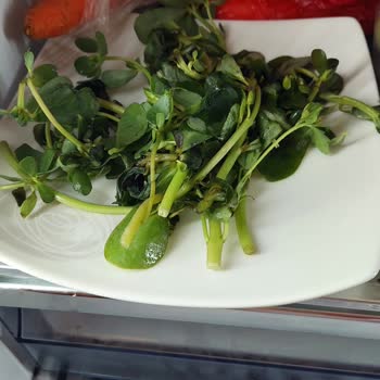 Samsung Buzdolabı İslak Ve Bozuk Çıkarıyor