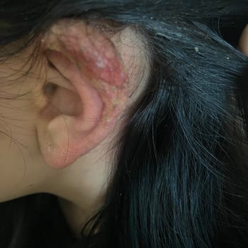 Palette 0-1 Siyah Sac Boyası