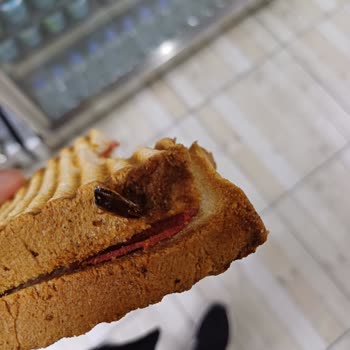 Afyonkarahisar Otogarı Afyon Otogarı Sucuk Evinde Yapılan Tost'da Böcek Olayı