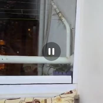 Samsung Telefon WhatsApp Video Sorunu Samsung