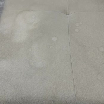 Ev Shop Pişmanlıktır