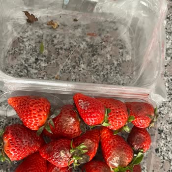 Migros Sanal Market Pişmanlığı