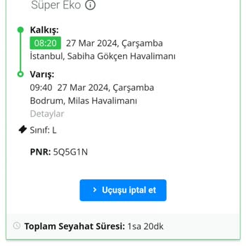Pegasus Uçuşta Fazla Koltuk Satılması Check-in İşlemi Yapılamaması