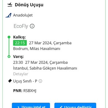Pegasus Uçuşta Fazla Koltuk Satılması Check-in İşlemi Yapılamaması