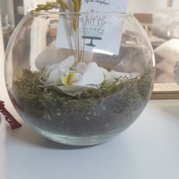 Bitmeyen.com Çiçek Sepetinde Ki Başarısızlık