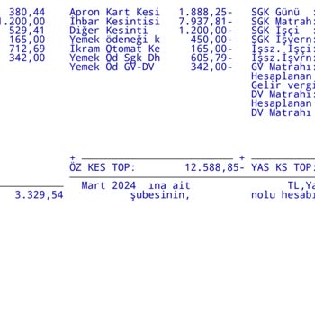 Çelebi Yer Hizmetleri Emeğimin Hakkı Olan Maaşımı İstiyorum