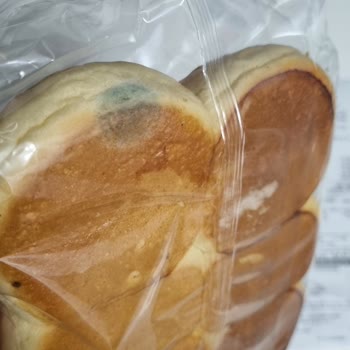 UNO Mini Roll Neden Küflenmiş