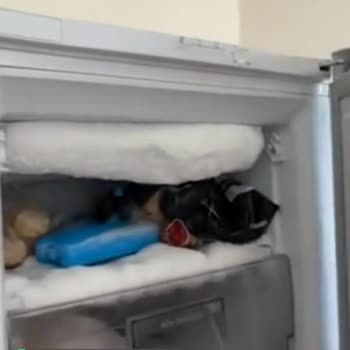 Arçelik Derin Dondurucu Buz Dağı Şeklinde Buz Tutuyor