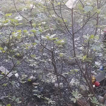 Çöplerden Bıktık Usandık Gaziosmanpaşa Belediyesi Artık Görevini Yap!