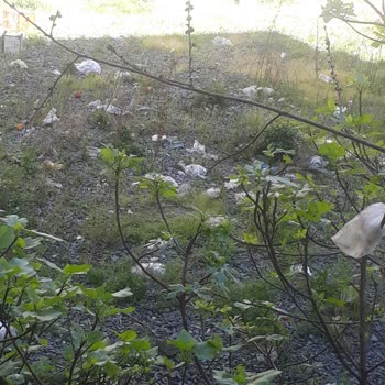 Çöplerden Bıktık Usandık Gaziosmanpaşa Belediyesi Artık Görevini Yap!