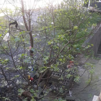 Çöplerden Bıktık Usandık Gaziosmanpaşa Belediyesi Artık Görevini Yap!