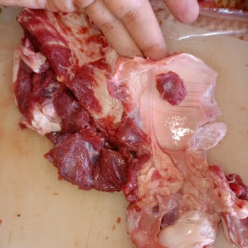 Et ve Süt Kurumu Gece Bekleyişinin Ardından Hayal Kırıklığı