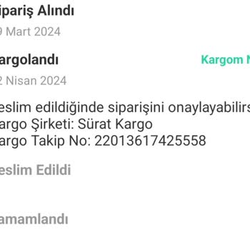 Sürat Kargo Shipping Mishaps