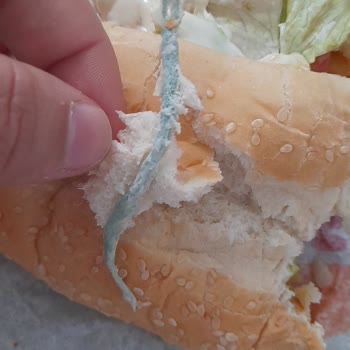 Burger King Burger Ekmeğin İçinden İp Çıktı