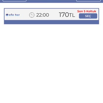 Efe Tur Bilet Fiyatı Farkı