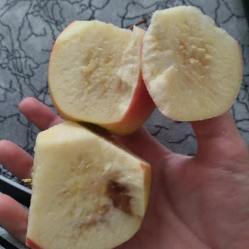 Migros Çürük Meyve Gönderiyorlar