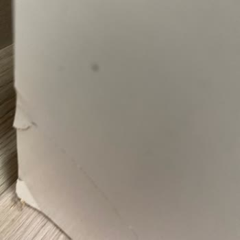 Güven Nakliyat (İstanbul) Taşınma Sürecinde Beklenmedik Sorunlar!