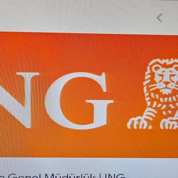 Çözümsüz Banka ING Bank