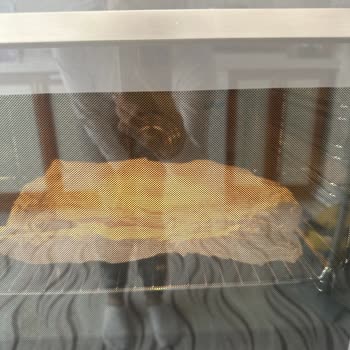 Siemens Fırın İyi Pişirmiyor