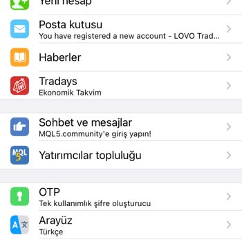 Lovo Trade Yatırım Danışmanlığı Kılıfında Hüsran