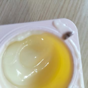 Sütaş Danino'sundan Kurt Çıktı