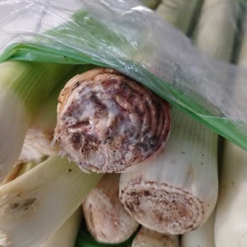 Migros Sanaldan Almış Olduğum Ürünün Küflü Ve Porsuk Çıkması