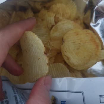 Ruffles Cipste Ölmüş Örümcek