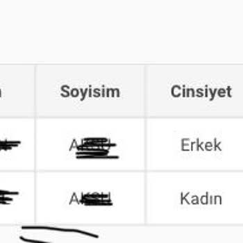 Feribotlines Black Friday Bileti