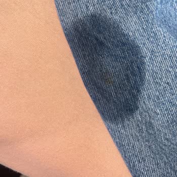 Zara Blouse Arrived Torn & Stained