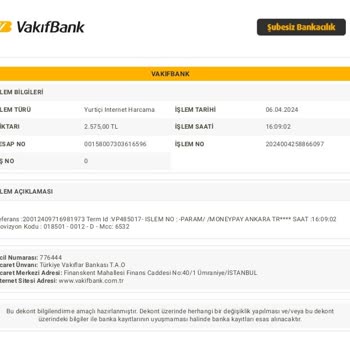 MoneyPay Araç Cezası Sorgulama Esnasında Yaşanan Sorun