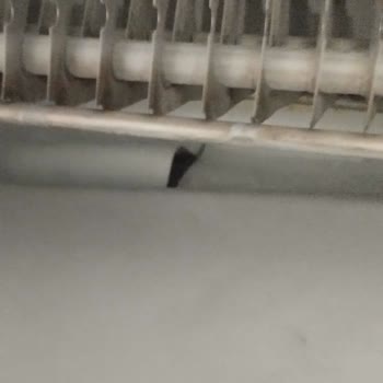 Arçelik Buzdolabı İç İzalasyon Kabinin Yırtılması