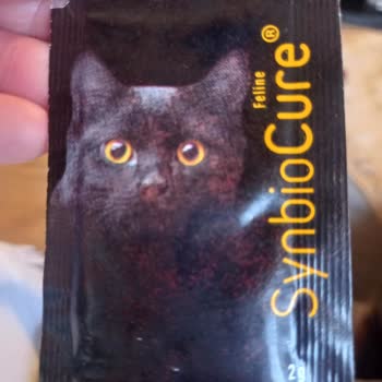 Mersin / Petical Hayvan Hastanesi Ön Büro Elemanları Hakkında Şikayet