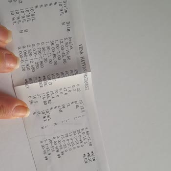 Vena Hayvan Hastanesi Vena Hastanesi İlgisiz Yanlış Tedavi Yapıyor