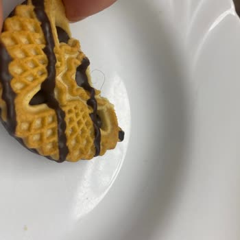 Biskot Bisküvi Karmen Zebra Bisküvi Kıl Çıktı
