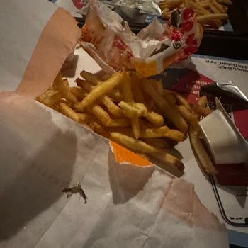 Burger King De Patatesin İçinden Böcek Çıktı
