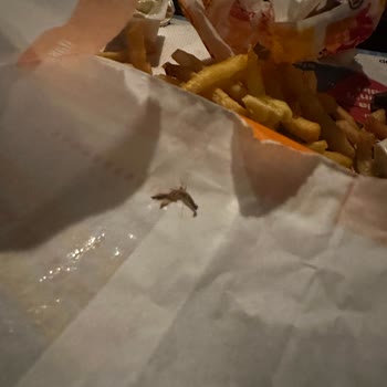Burger King De Patatesin İçinden Böcek Çıktı