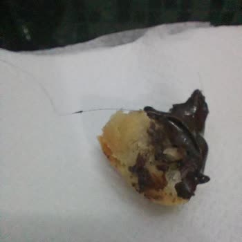 A101 Temiz Fırın İzmir Bombasını 'ndan Uzun Bir Saç Teli Çıktı