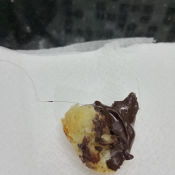 A101 Temiz Fırın İzmir Bombasını 'ndan Uzun Bir Saç Teli Çıktı